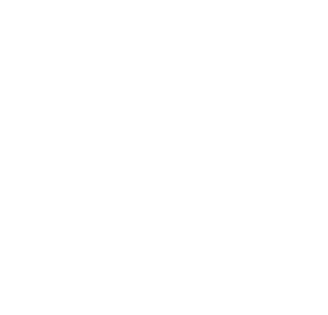 logo-flashkode-white